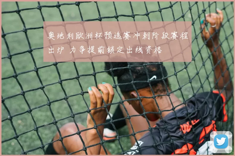 奥地利欧洲杯预选赛冲刺阶段赛程出炉 力争提前锁定出线资格
