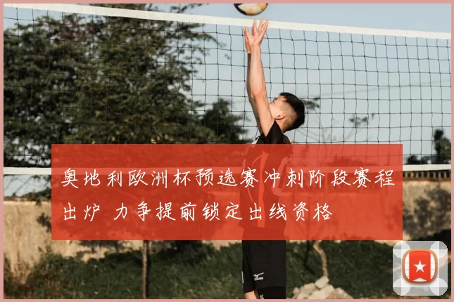 奥地利欧洲杯预选赛冲刺阶段赛程出炉 力争提前锁定出线资格