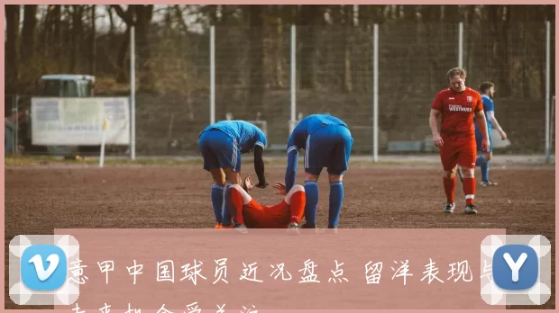 意甲中国球员近况盘点 留洋表现与未来机会受关注