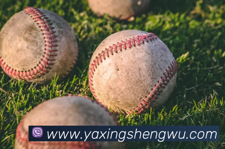 开云网页版·官方版在线登入 - 开云(中国)服务体系